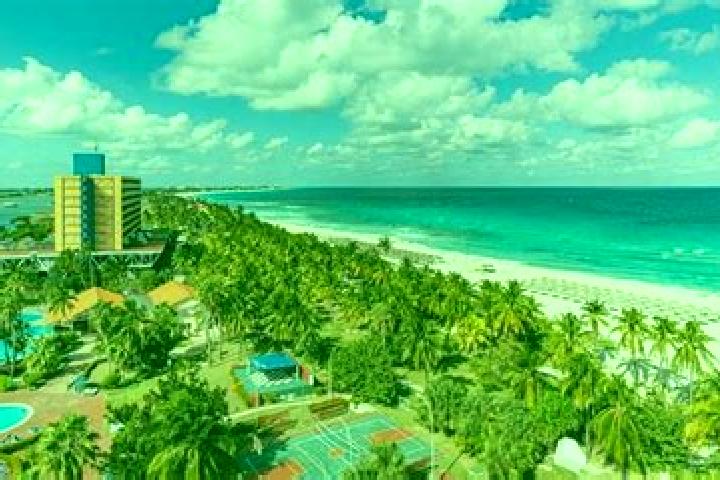 8 escort profiles in Cayo Mambi, Cuba. Browse companions, services, rates and book online. Incall and outcall available.