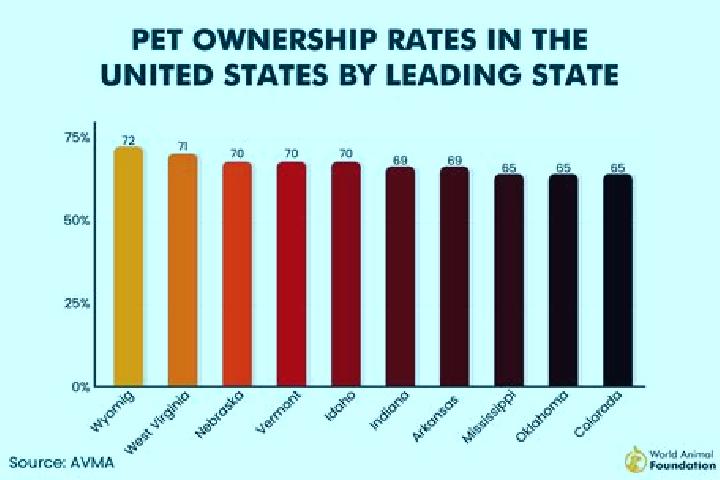 8 escort profiles in Cedar Glen Lakes, United States. Browse companions, services, rates and book online. Incall and outcall available.