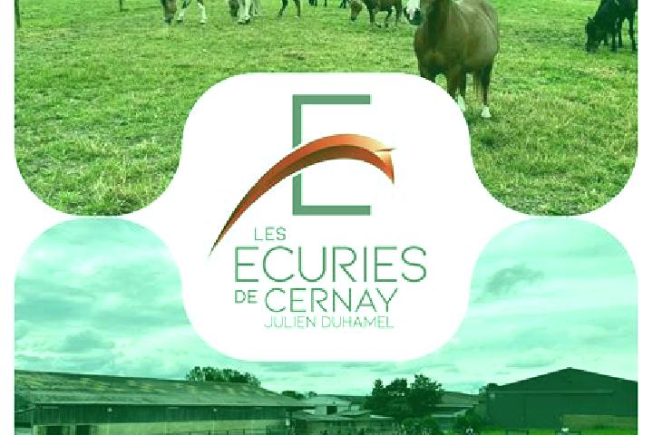 8 escort profiles in Cernay-les-Reims, France. Browse companions, services, rates and book online. Incall and outcall available.