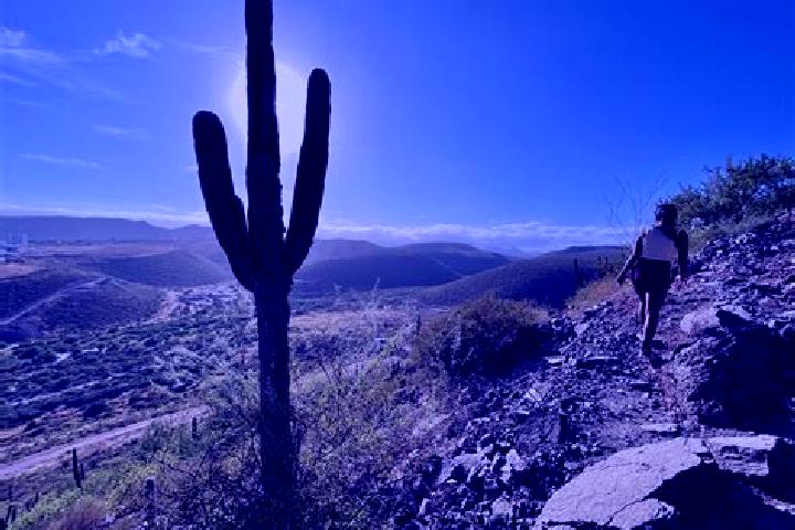 8 escort profiles in Cerro de la Esperanza, Mexico. Browse companions, services, rates and book online. Incall and outcall available.