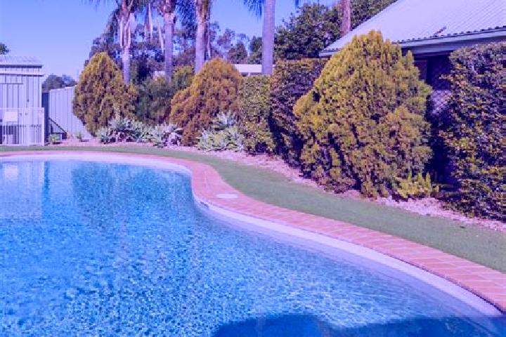 8 escort profiles in Chinchilla, Australia. Browse companions, services, rates and book online. Incall and outcall available.