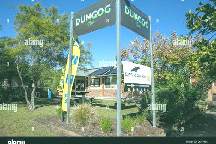 8 escort profiles in Dungog, Australia. Browse companions, services, rates and book online. Incall and outcall available.