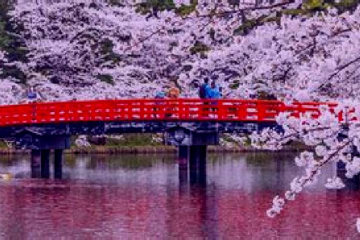 8 escort profiles in Hiranai, Japan. Browse companions, services, rates and book online. Incall and outcall available.