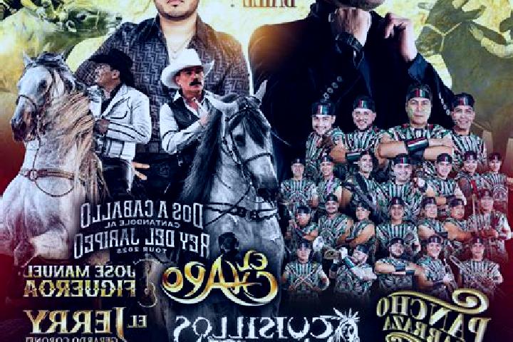 8 escort profiles in Jaripeo, Mexico. Browse companions, services, rates and book online. Incall and outcall available.