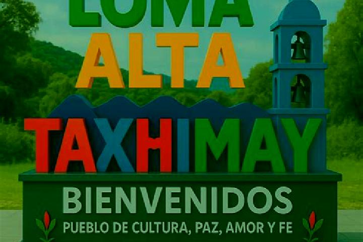 8 escort profiles in Loma Alta Taxhimay, Mexico. Browse companions, services, rates and book online. Incall and outcall available.