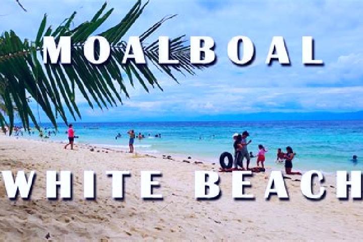 8 escort profiles in Moalboal, Philippines. Browse companions, services, rates and book online. Incall and outcall available.