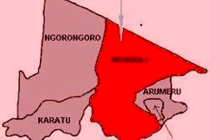 8 escort profiles in Monduli, Tanzania. Browse companions, services, rates and book online. Incall and outcall available.