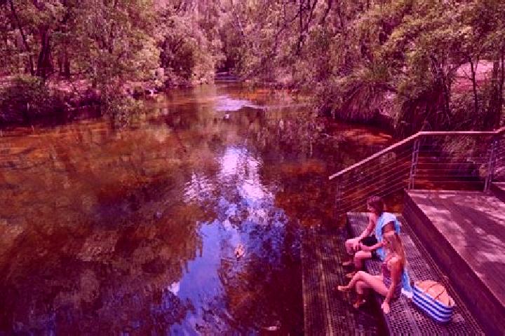 8 escort profiles in Nannup, Australia. Browse companions, services, rates and book online. Incall and outcall available.