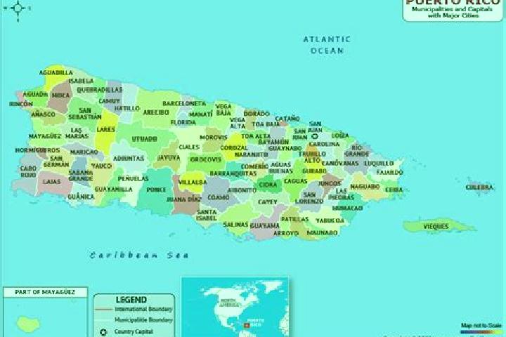 8 escort profiles in Palmarejo, Puerto Rico. Browse companions, services, rates and book online. Incall and outcall available.