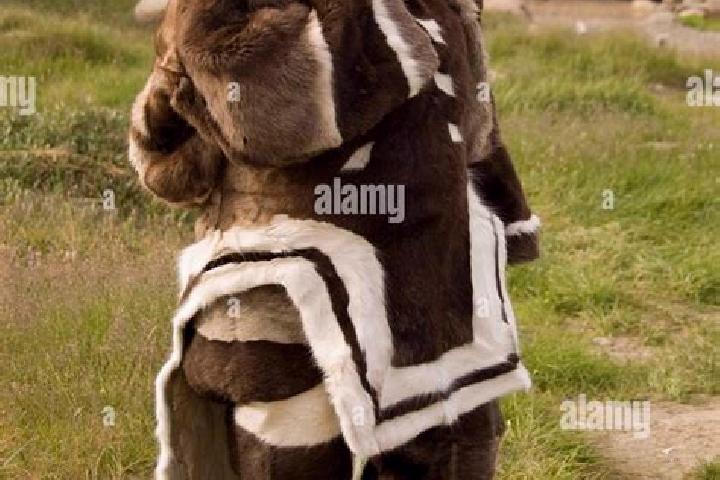8 escort profiles in Pangnirtung, Canada. Browse companions, services, rates and book online. Incall and outcall available.