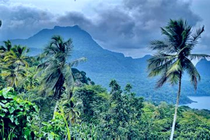 8 escort profiles in Pantufo, Sao Tome and Principe. Browse companions, services, rates and book online. Incall and outcall available.