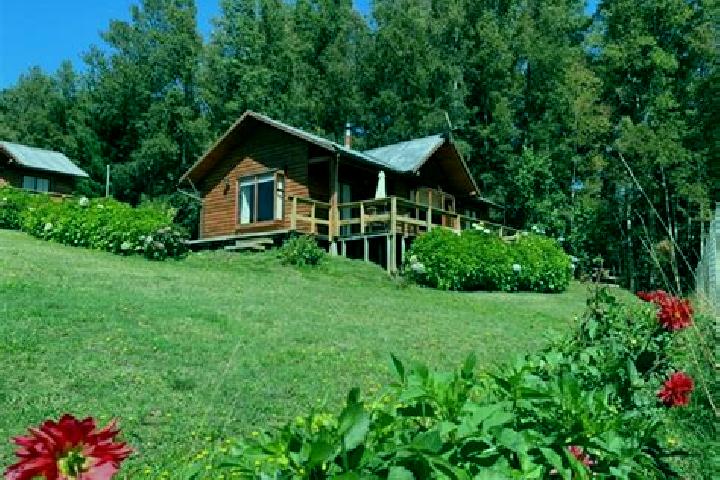 8 escort profiles in Pucon, Chile. Browse companions, services, rates and book online. Incall and outcall available.