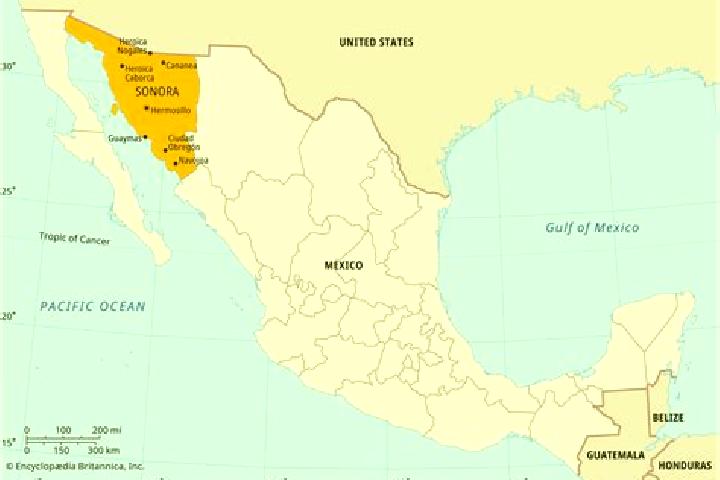 8 escort profiles in Sonora, Mexico. Browse companions, services, rates and book online. Incall and outcall available.