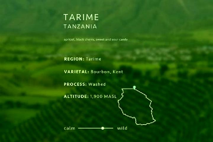 8 escort profiles in Tarime, Tanzania. Browse companions, services, rates and book online. Incall and outcall available.
