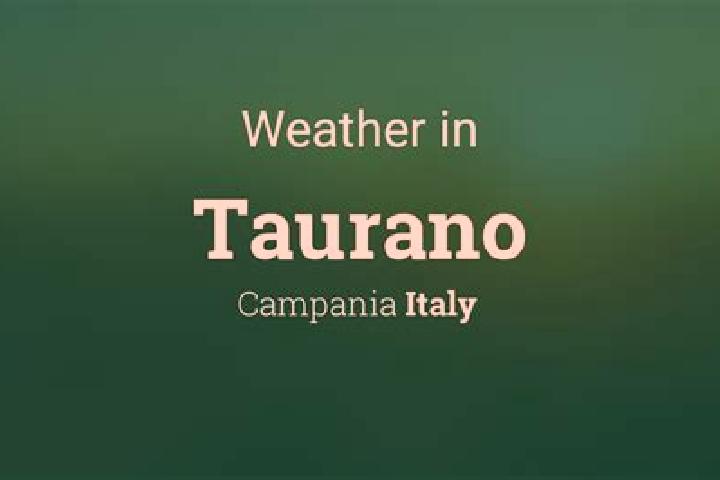 8 escort profiles in Taurano, Italy. Browse companions, services, rates and book online. Incall and outcall available.