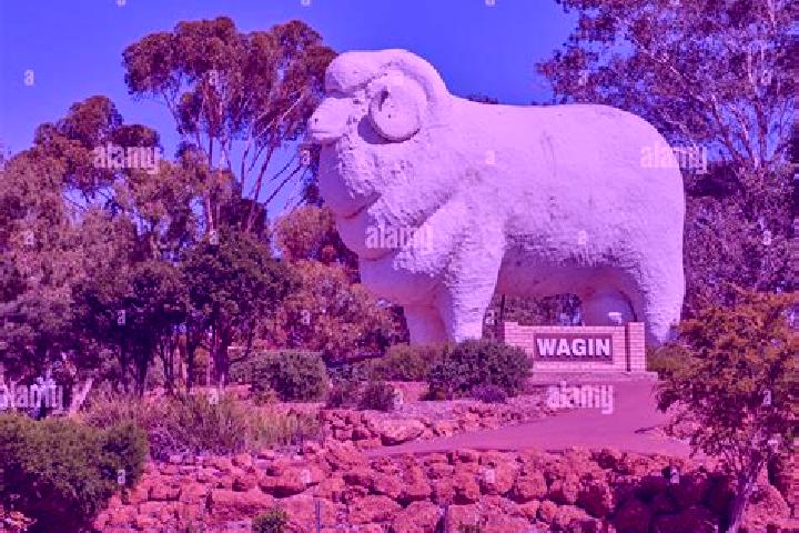8 escort profiles in Wagin, Australia. Browse companions, services, rates and book online. Incall and outcall available.