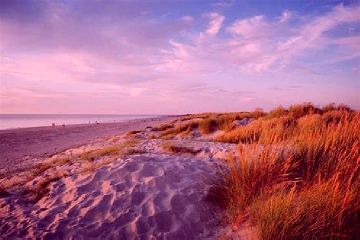 8 escort profiles in Wittering, United Kingdom. Browse companions, services, rates and book online. Incall and outcall available.