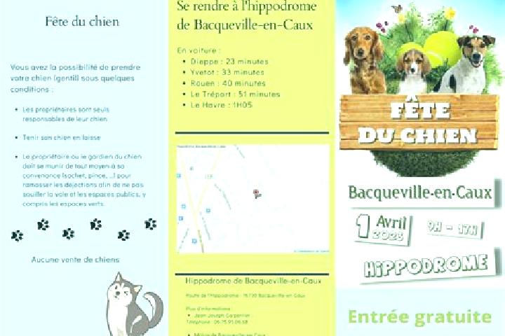 9 escort profiles in Bacqueville-en-Caux, France. Browse companions, services, rates and book online. Incall and outcall available.