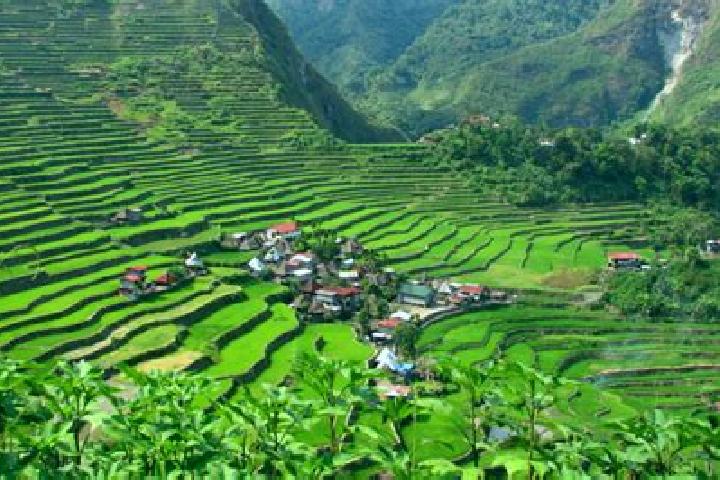9 escort profiles in Banaue, Philippines. Browse companions, services, rates and book online. Incall and outcall available.