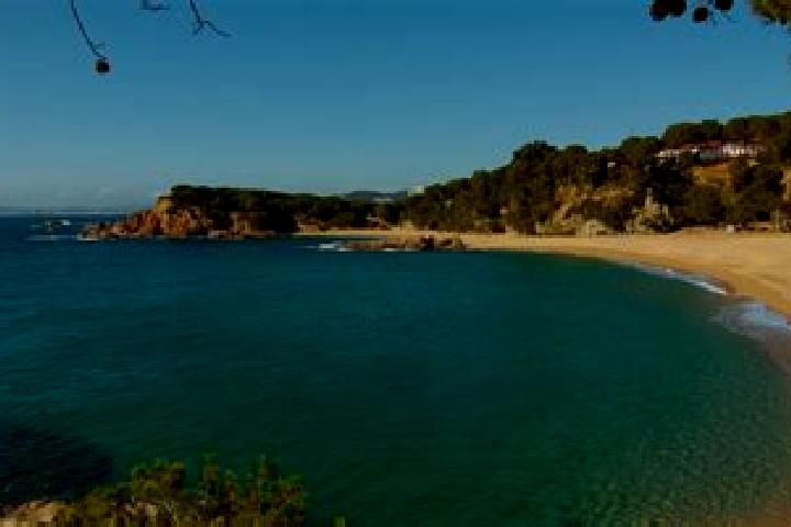 9 escort profiles in Castell-Platja d Aro, Spain. Browse companions, services, rates and book online. Incall and outcall available.