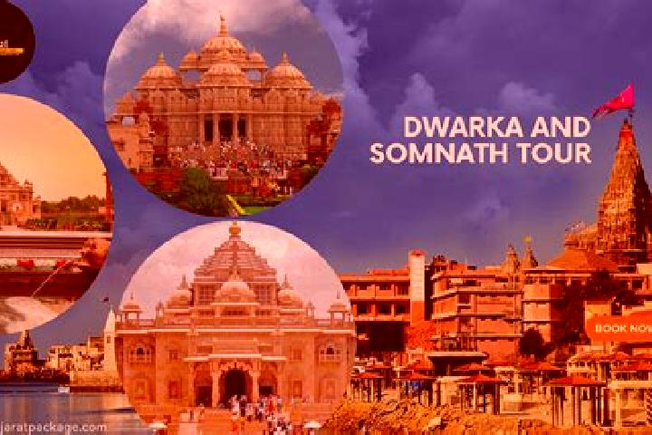 9 escort profiles in Dwarka, India. Browse companions, services, rates and book online. Incall and outcall available.