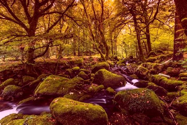 9 escort profiles in Far Forest, United Kingdom. Browse companions, services, rates and book online. Incall and outcall available.