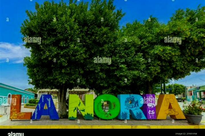 9 escort profiles in Fraccionamiento la Noria, Mexico. Browse companions, services, rates and book online. Incall and outcall available.