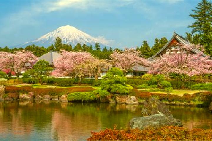 9 escort profiles in Fujinomiya, Japan. Browse companions, services, rates and book online. Incall and outcall available.