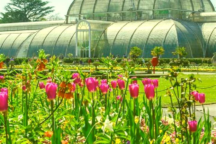 9 escort profiles in Kew Gardens, United States. Browse companions, services, rates and book online. Incall and outcall available.