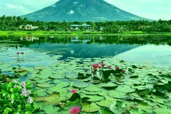 9 escort profiles in Lake Sebu, Philippines. Browse companions, services, rates and book online. Incall and outcall available.