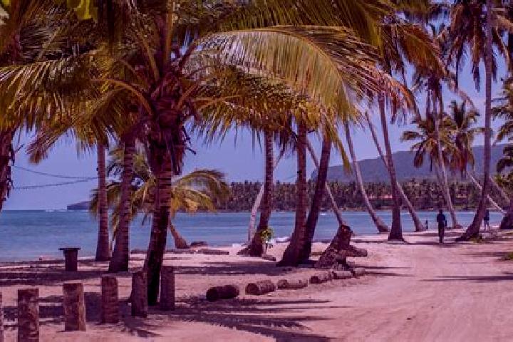 9 escort profiles in Las Terrenas, Dominican Republic. Browse companions, services, rates and book online. Incall and outcall available.