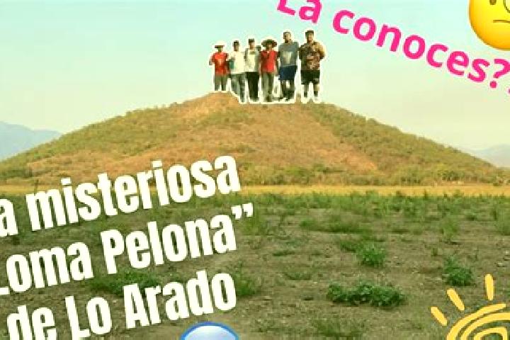 9 escort profiles in Loma Fina (Loma Pelona), Mexico. Browse companions, services, rates and book online. Incall and outcall available.