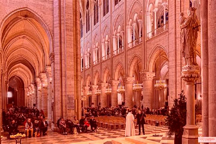 9 escort profiles in Notre-Dame-de-Riez, France. Browse companions, services, rates and book online. Incall and outcall available.