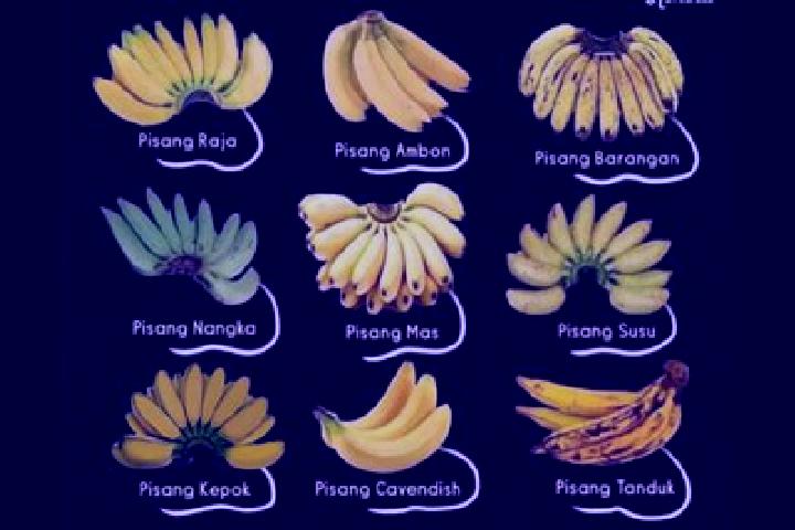 9 escort profiles in Pisang, Indonesia. Browse companions, services, rates and book online. Incall and outcall available.