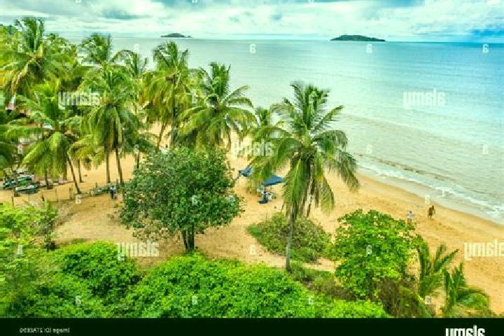 9 escort profiles in Remire-Montjoly, French Guiana. Browse companions, services, rates and book online. Incall and outcall available.