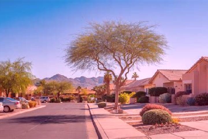9 escort profiles in Sun City Center, United States. Browse companions, services, rates and book online. Incall and outcall available.