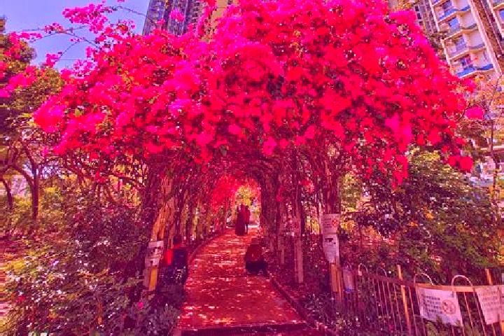 9 escort profiles in Un Chau Estate, Hong Kong. Browse companions, services, rates and book online. Incall and outcall available.