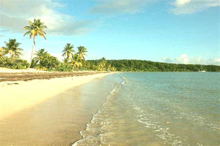 9 escort profiles in Vieques, Puerto Rico. Browse companions, services, rates and book online. Incall and outcall available.