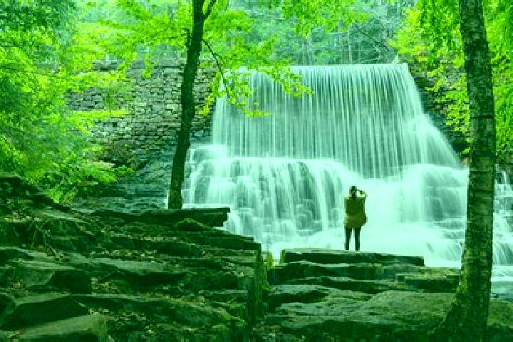 9 escort profiles in Wallenpaupack Lake Estates, United States. Browse companions, services, rates and book online. Incall and outcall available.