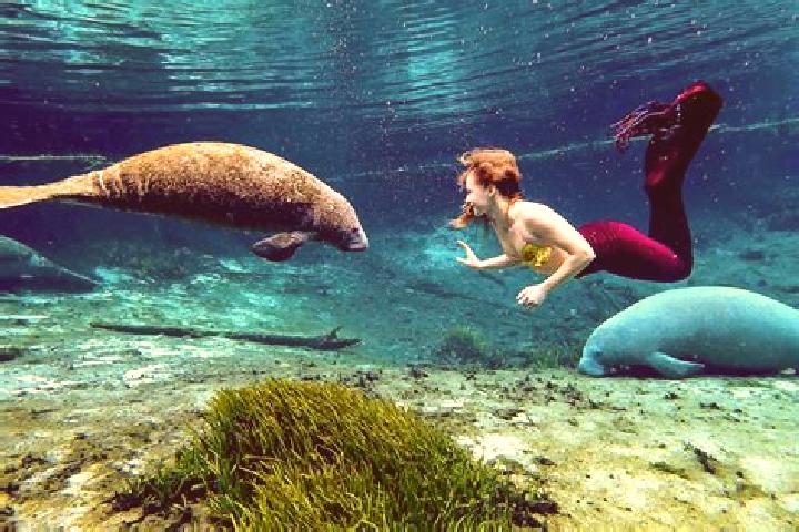 9 escort profiles in Weeki Wachee Gardens, United States. Browse companions, services, rates and book online. Incall and outcall available.