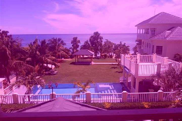 9 escort profiles in Whitehouse, Jamaica. Browse companions, services, rates and book online. Incall and outcall available.
