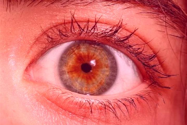 Abigail, 20, a red hazel-eyed slavic companion based in Newton. Offering Deep French Kissing, OWO, BDSM. Available for incall and outcall, overnight bookings...