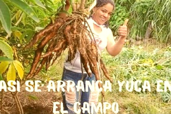 Abigail, 20 — Escort in La Yuca, Venezuela