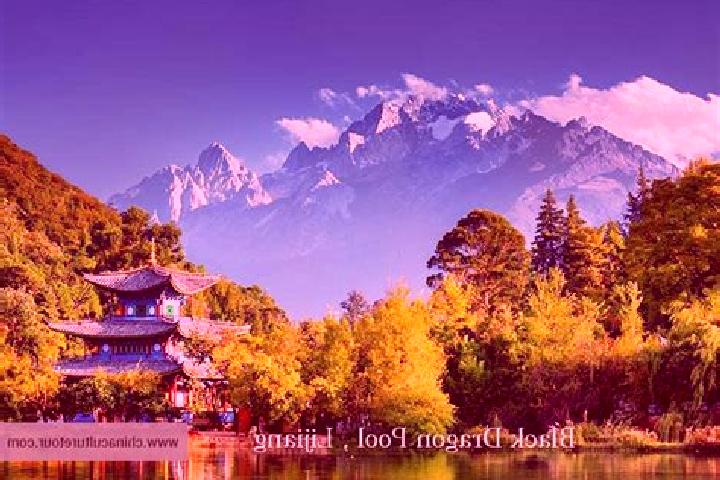 Abigail, 20 — Escort in Linjiang, China