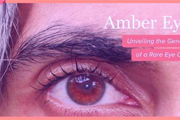 Abigail, 21, a black amber-eyed middle eastern companion based in Tenggina. Offering Tantra, Prostate Massage, Fetish, GFE. Available for incall and outcall,...