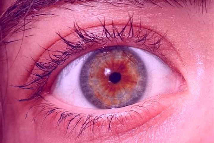 Abigail, 21, a red hazel-eyed mediterranean companion based in Quirijnstok. Offering Massage, 69, Prostate Massage. Available for incall and outcall, day and...