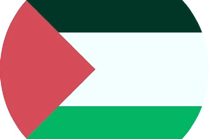 Abigail, 21 — Escort in Biddu, Palestine