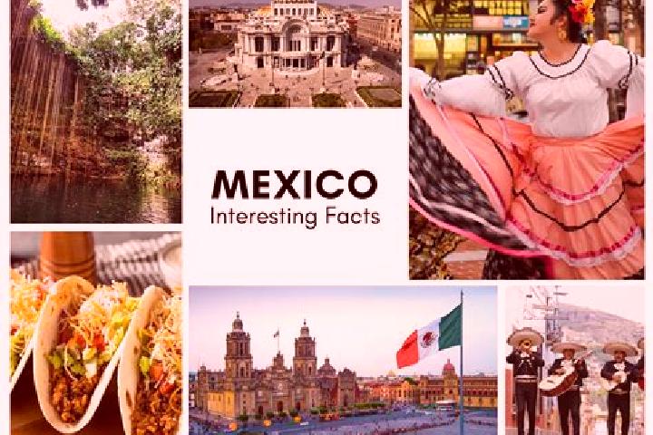 Abigail, 21 — Escort in Cherato, Mexico