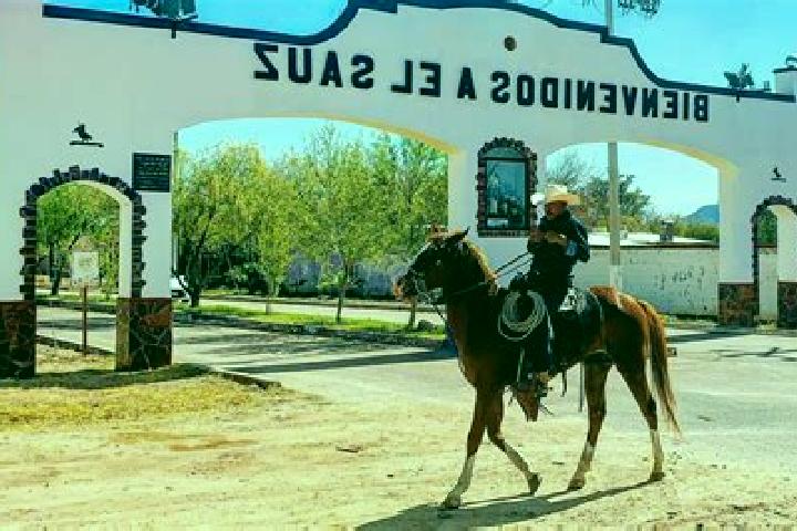 Abigail, 21 — Escort in El Sauz, Mexico