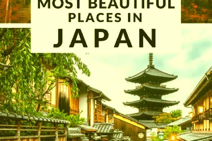 Abigail, 21 — Escort in Negishicho, Japan